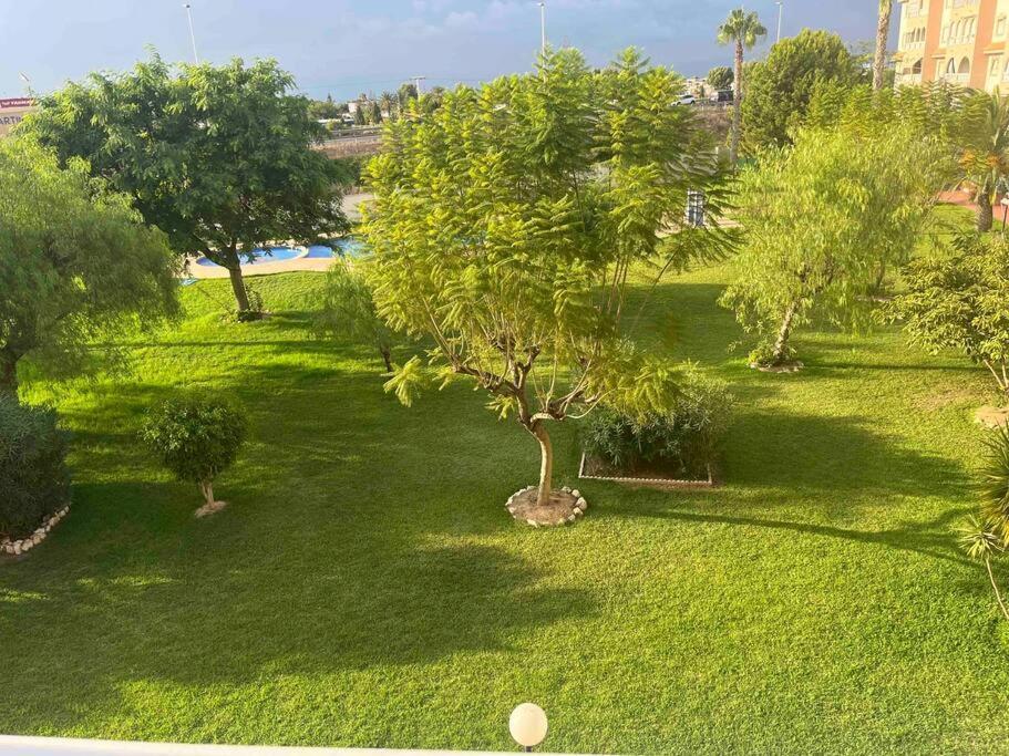 Casa Di Mateo With Garden View And Swimming Pool Apartment Torrevieja Ngoại thất bức ảnh