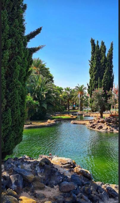 Casa Di Mateo With Garden View And Swimming Pool Apartment Torrevieja Ngoại thất bức ảnh